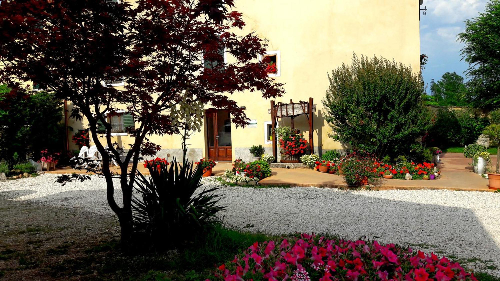 Al Torcol Agriturismo Hostal Monzambano Exterior foto